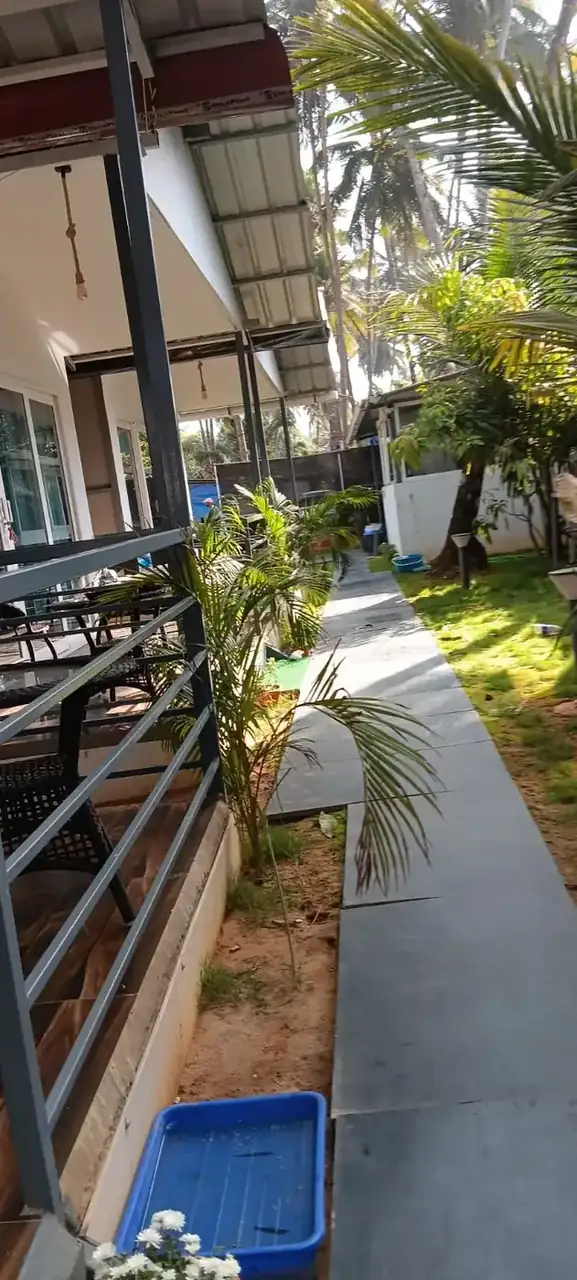 Garden walkway leading through the Saffron Sun Palolem property